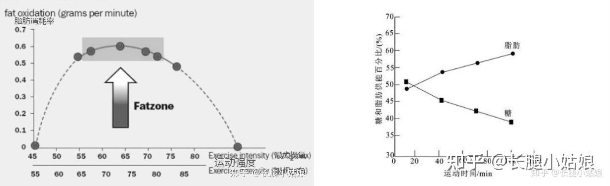 家用什么牌子跑步机好_家用跑步机谁家的比较好_家用牌子跑步机好用吗