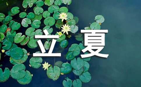云开·全站APP登录入口 陶立夏《练习一个人》经典语录
