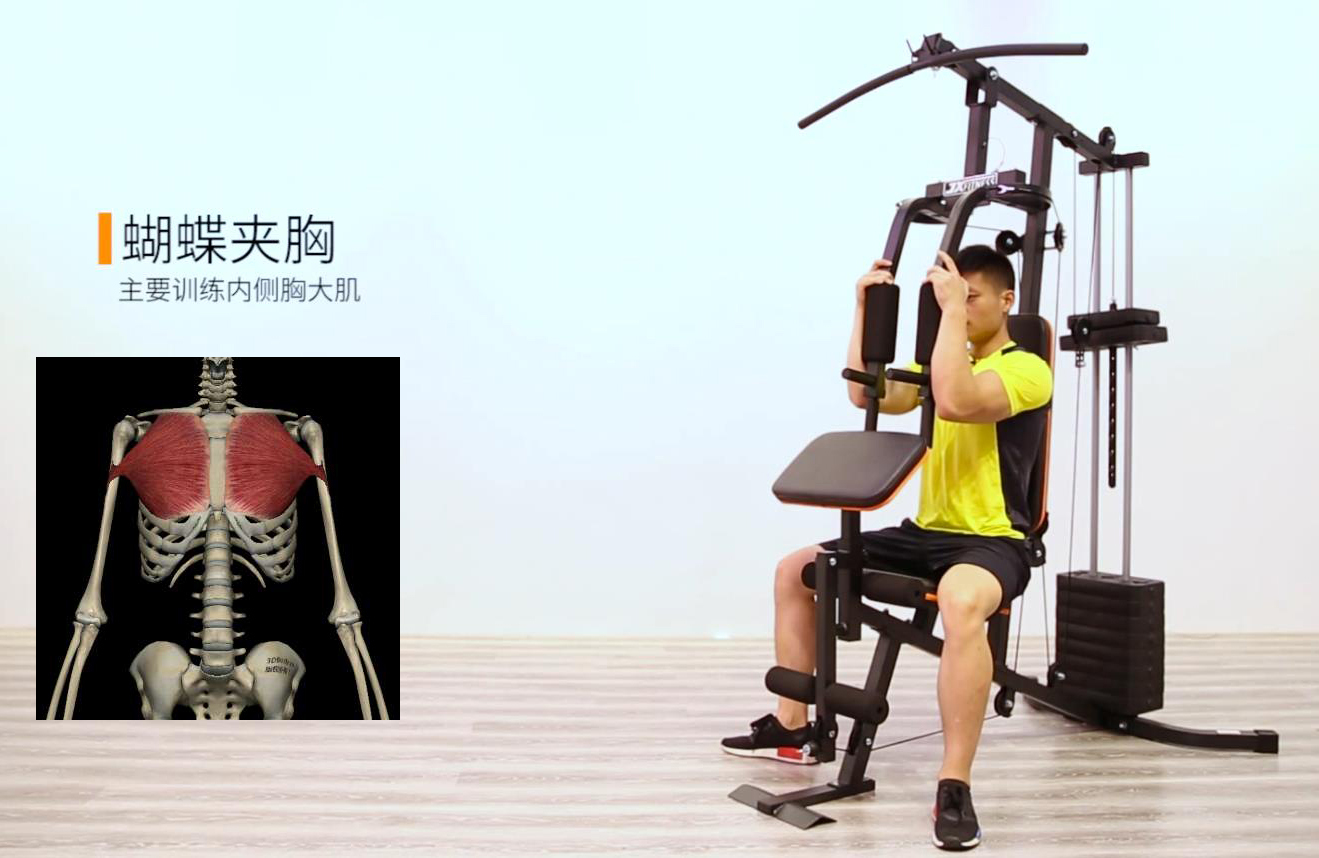 力量训练器具_综合力量训练器品牌_力量训练器械使用方法