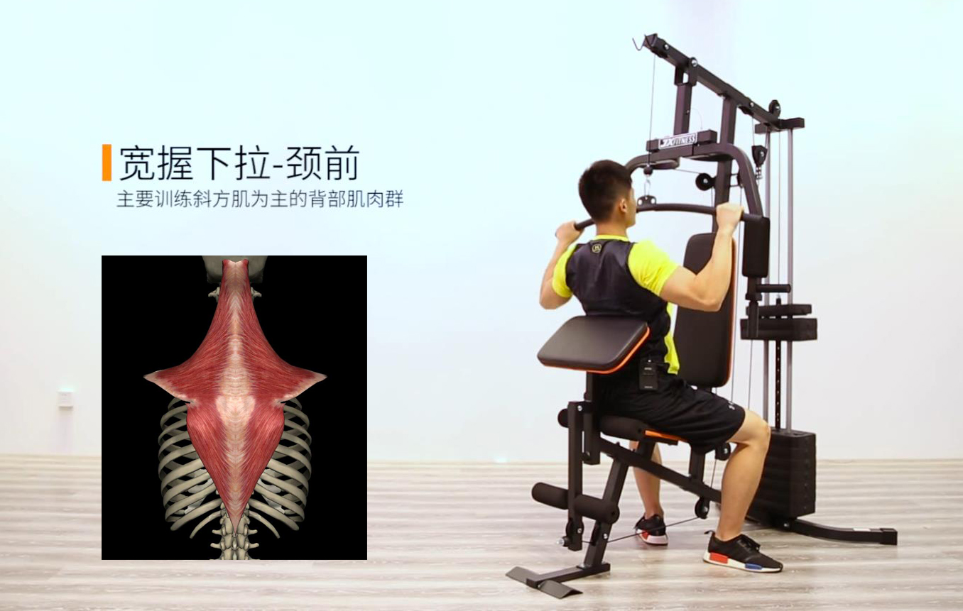 综合力量训练器品牌_力量训练器具_力量训练器械使用方法