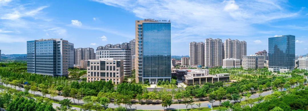 服务外包领军企业_中国服务外包领军城市_服务外包示范城市