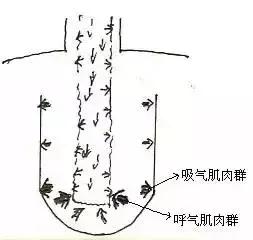 开元棋盘财神捕鱼官网版下载2023 唱歌技巧：声乐界不外传完美的唱歌发声自我训练速成法！