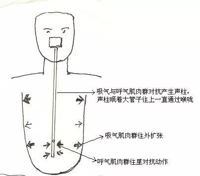 声乐民歌发声练习视频_民歌发声训练方法_民歌如何发声