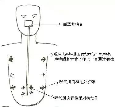 民歌如何发声_声乐民歌发声练习视频_民歌发声训练方法