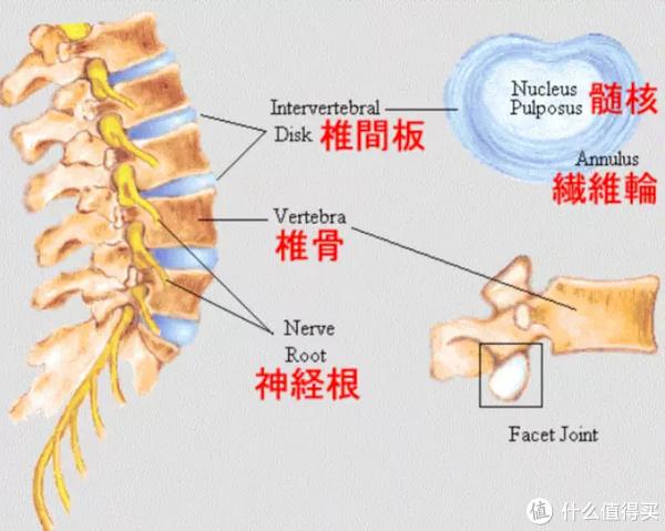 锻炼手套_健身手套紧点好吗_健身手套越紧越好吗