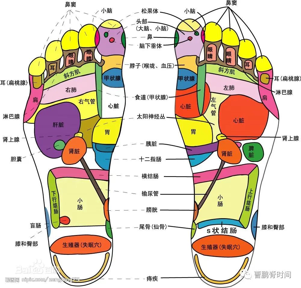 健身手套越紧越好吗_健身手套紧的好处_手套太紧会怎么样