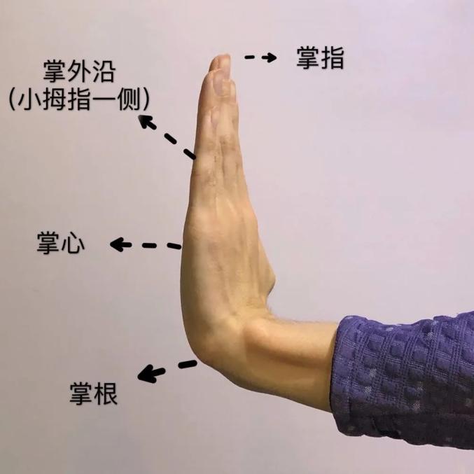武术基本功训练视频教程_武术基本功练习方法_武术基本功练功方法