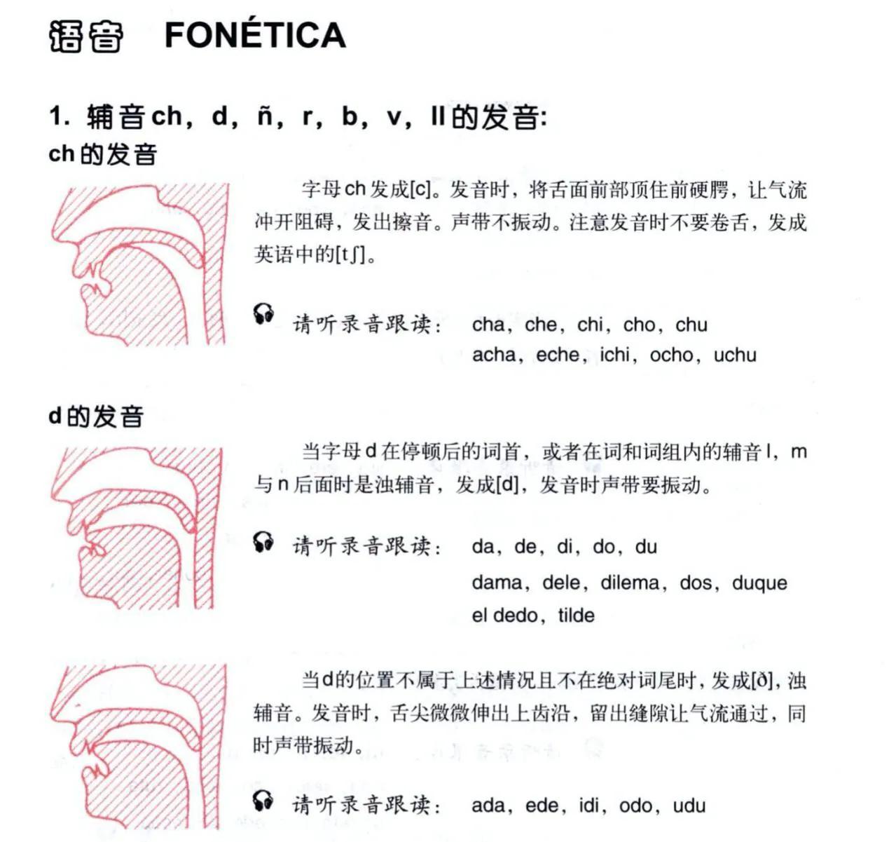 速成西班牙语语法总结_西班牙语基础语法与练习_西班牙语语法精讲精练
