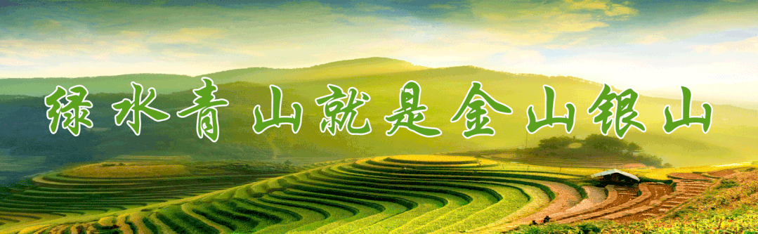 委托代理理论解决中的问题_如果解决委托_代理理论中_委托代理理论体现的是