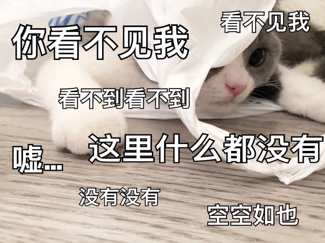 躲猫猫图片可爱_躲猫猫图片_躲猫猫图片可爱表情包