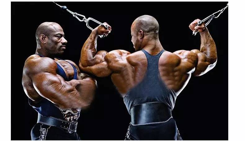 健身要带手套吗_健身服装选择指南_运动健身装备推荐