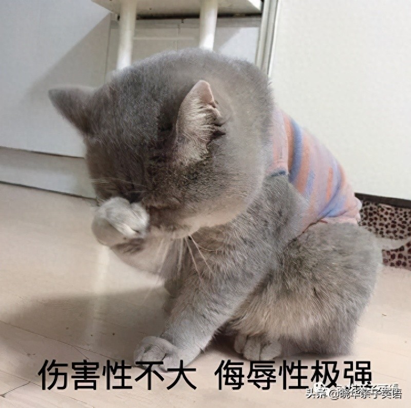 开元ky888棋牌官方版 大曝光！3大过时的英语学习方法，很多人却深信不疑