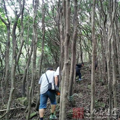健身手套有必要买带束带的么_手套健身带需要换吗_健身需要带手套吗