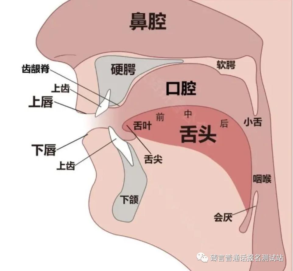 开元棋盘财神捕鱼官网版下载2023 平翘舌怎么发才算标准？@所有人