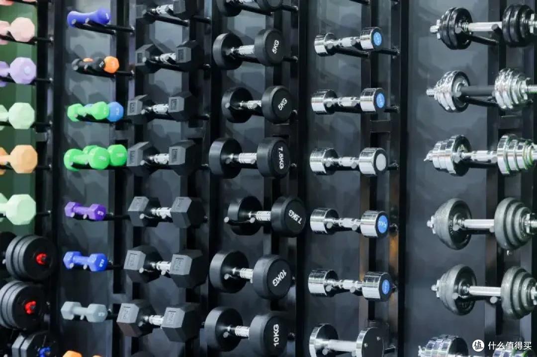 家庭健身_哑铃训练计划_家用跑步机十大名牌是什么,跑步机什么牌子好?