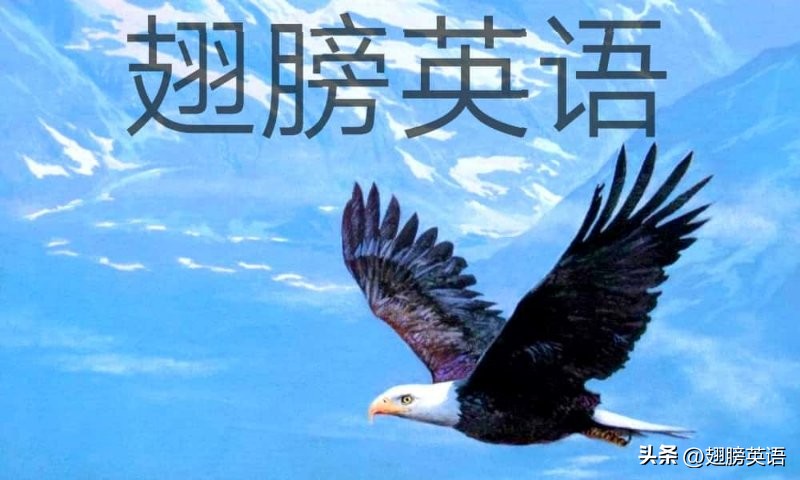 定语从句which用法_定语从句which练习_定语从句中which怎么翻译