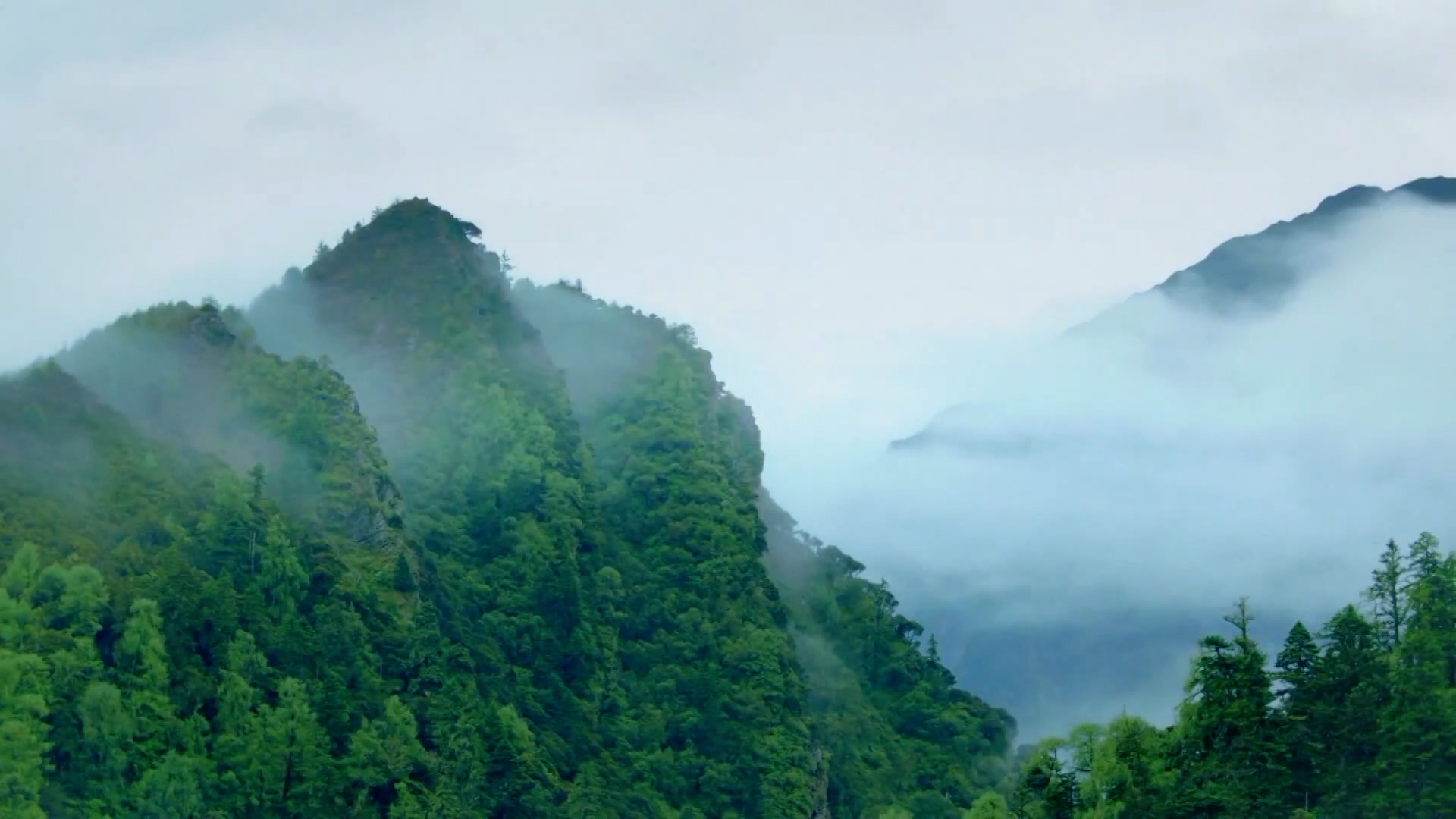 近期的重大新闻_十四五规划 高质量发展 产业升级