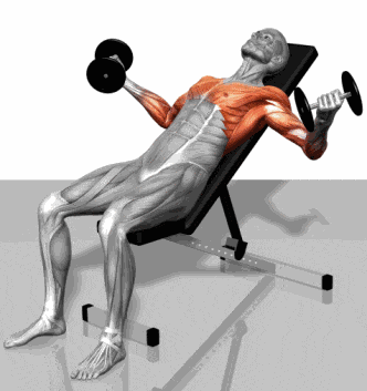 力量训练延缓衰老_哑铃全身训练教程_大型全身综合训练器