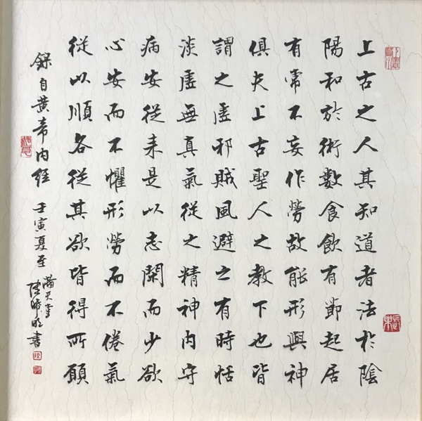 硬笔书法速成怎样写好六七二个高频字 陆晞明 书法教育推广普及_如何练习硬笔书法